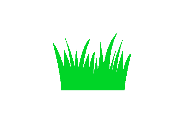 lawn and garden maintenance