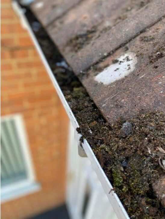 gutter cleaning service boston before start