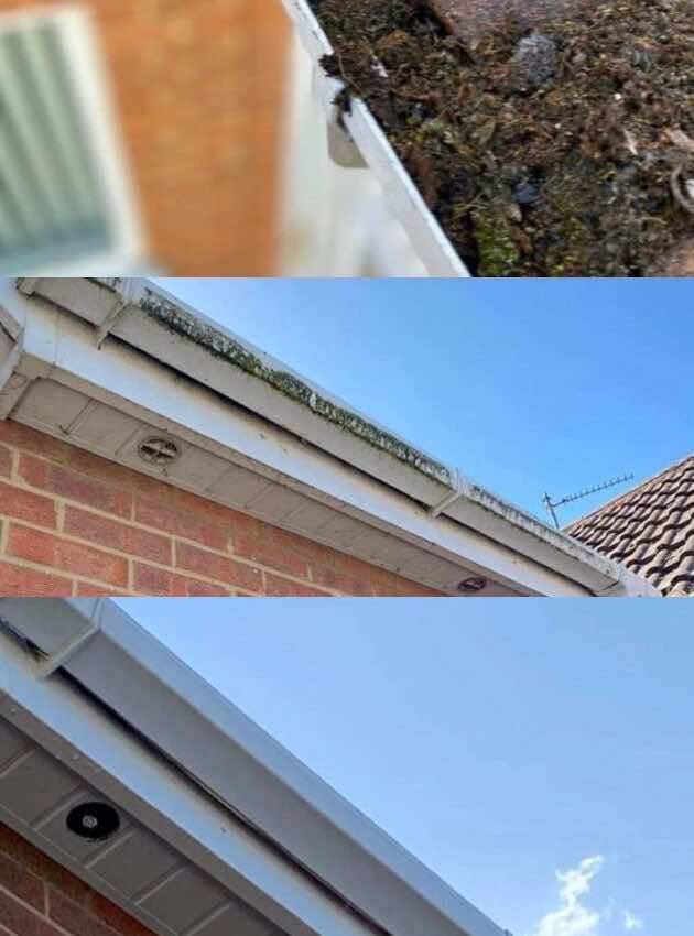 Gutter Cleaning
